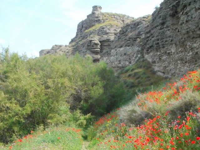 Vistas de Titulcia