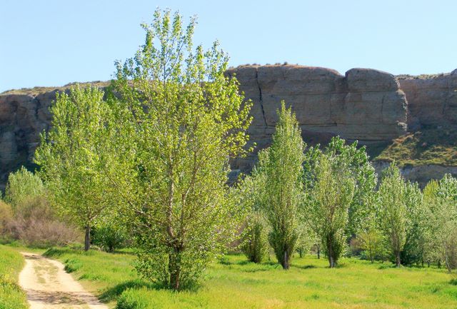 Rutas Turísticas Titulcia